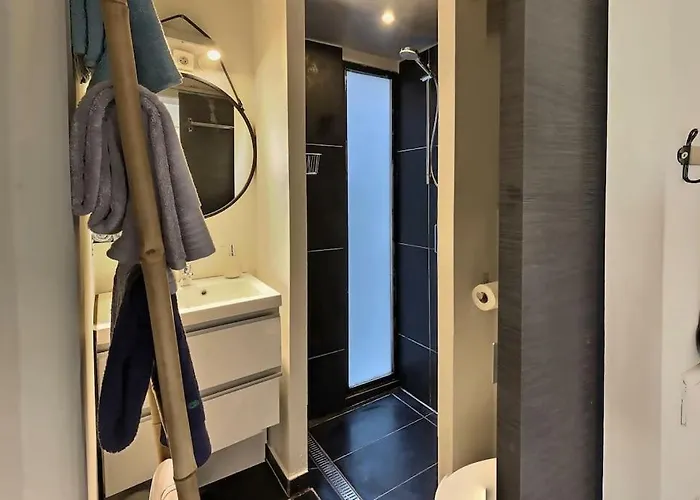 Le Saint Roch 2 - Ac Clim - Wifi - 50M Centre Ville